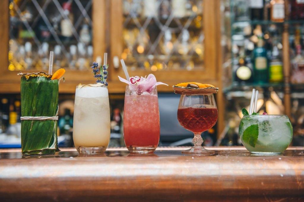 What Is Gin? An Expert Guide For Everyone Ginobserver