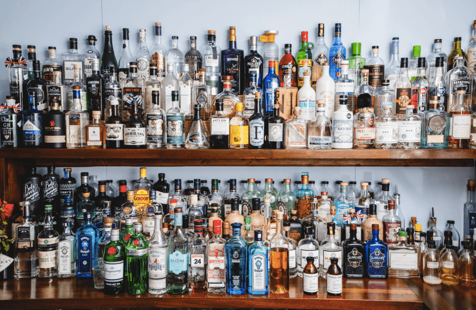 What Is Gin? An Expert Guide For Everyone Ginobserver
