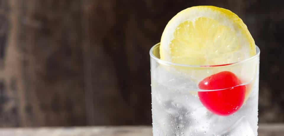 Tom Collins Gin Cocktail The Perfect Classic Recipe Ginobserver Com,What Can You Feed Ducks And Turtles