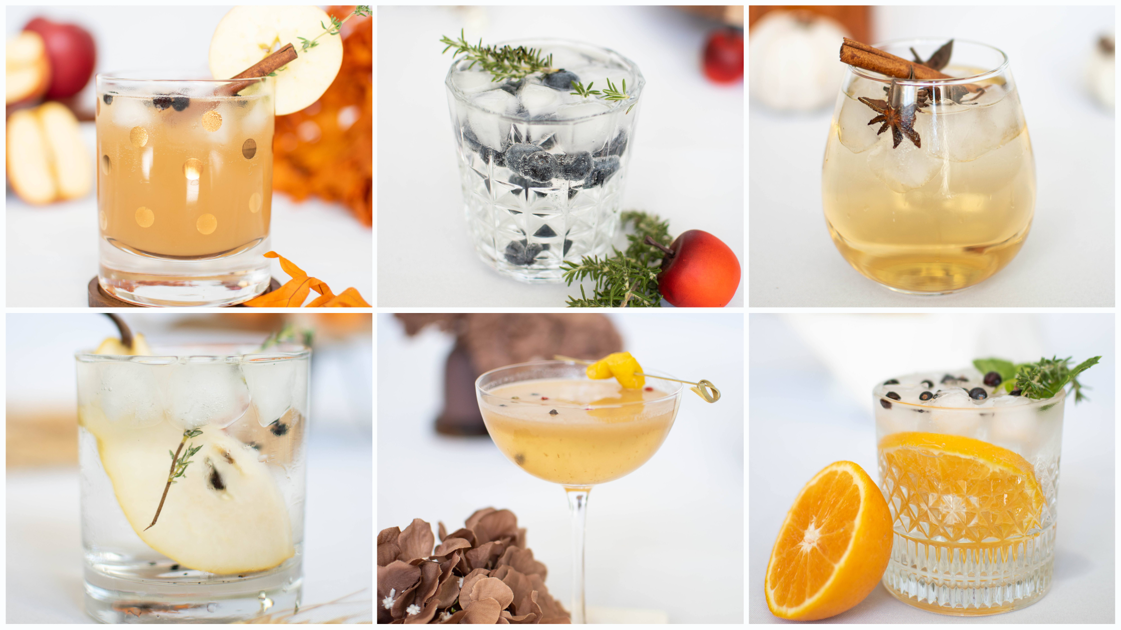6 Fall Gin and Tonic Recipes