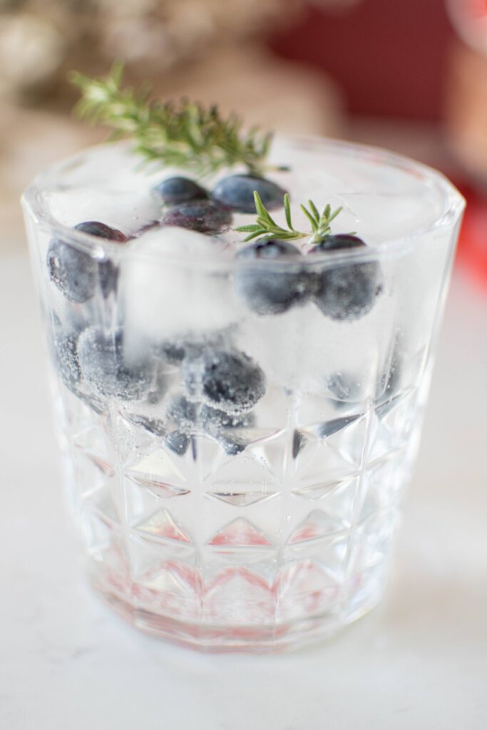 Rosemary Gin and Tonic (Gin Cocktail) - The Perfect Recipe